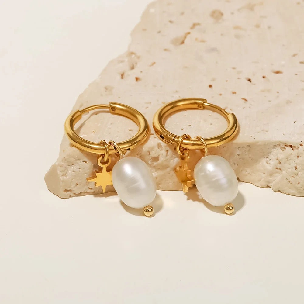 Star dust golden earrings