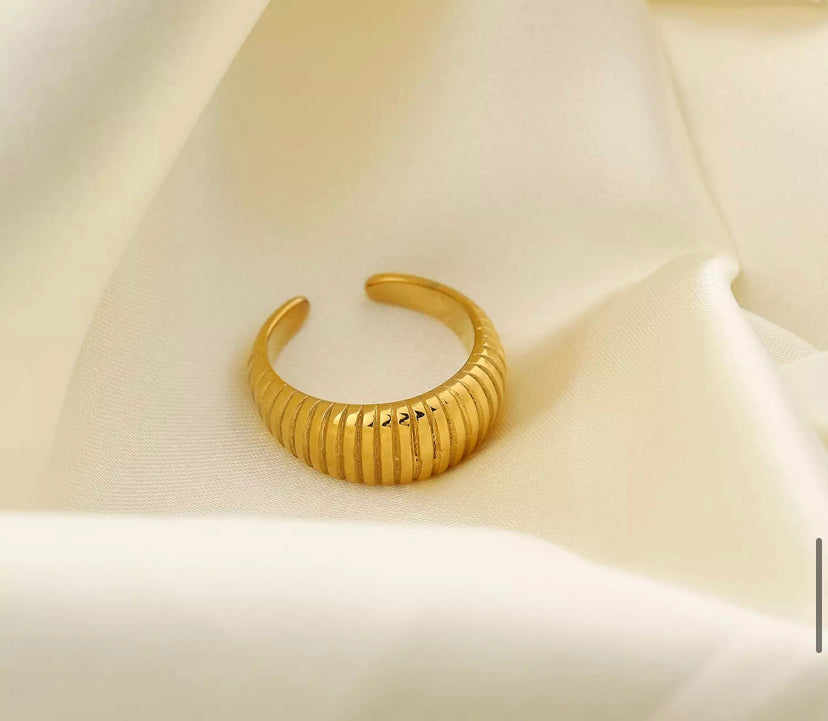 Under the dome ring