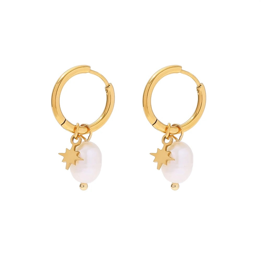 Star dust golden earrings