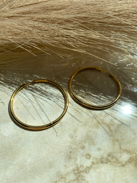 Gorgeous gorgeous girls hoops